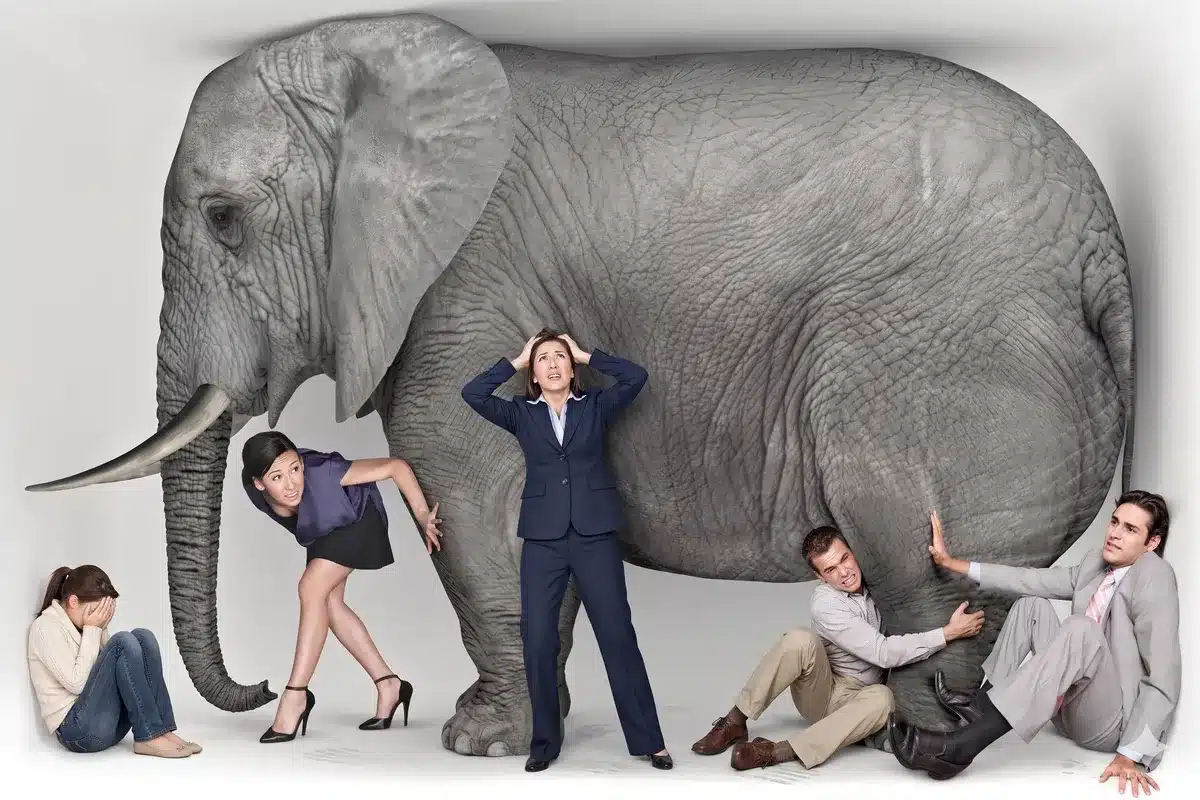 The image I showed the class: a giant elephant stuffed inside a meeting room